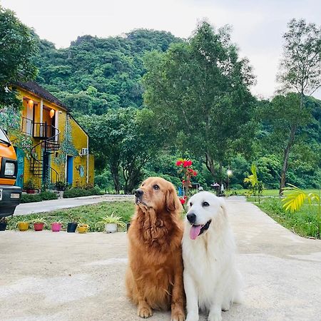 Huy-Homestay Phong Nha Eksteriør billede