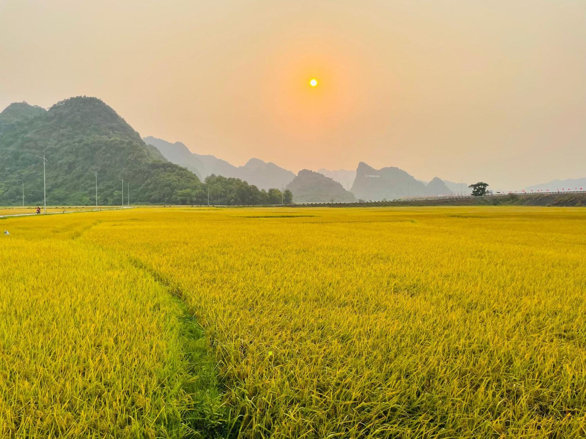 Huy-Homestay Phong Nha Eksteriør billede