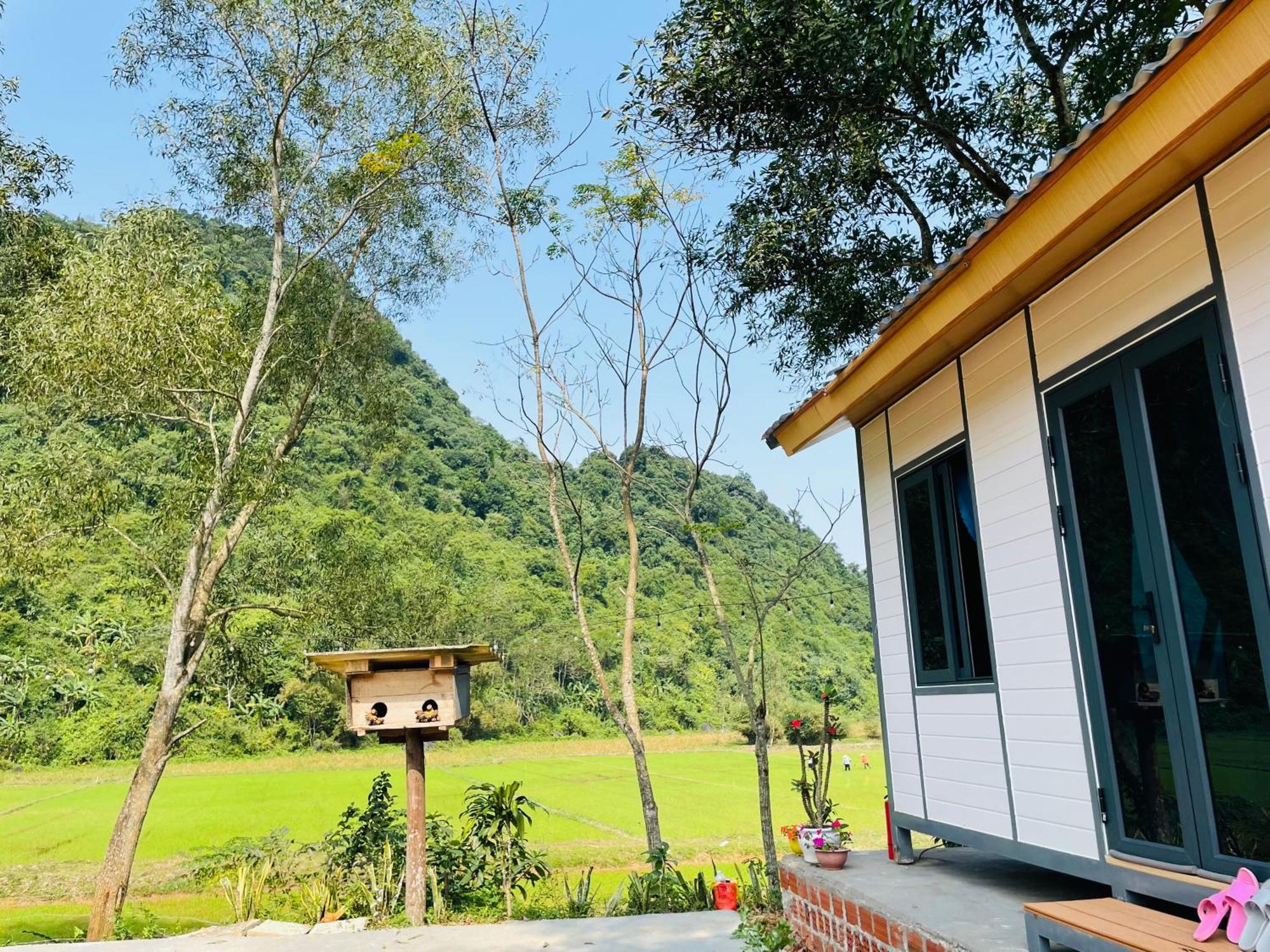 Huy-Homestay Phong Nha Eksteriør billede