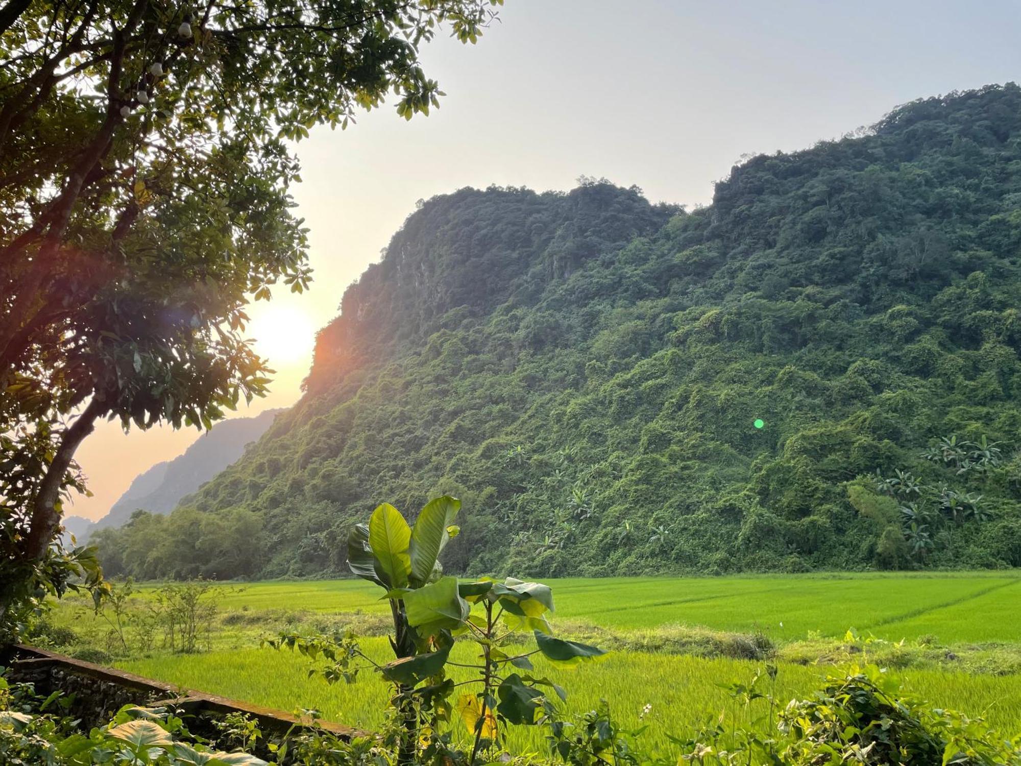 Huy-Homestay Phong Nha Eksteriør billede