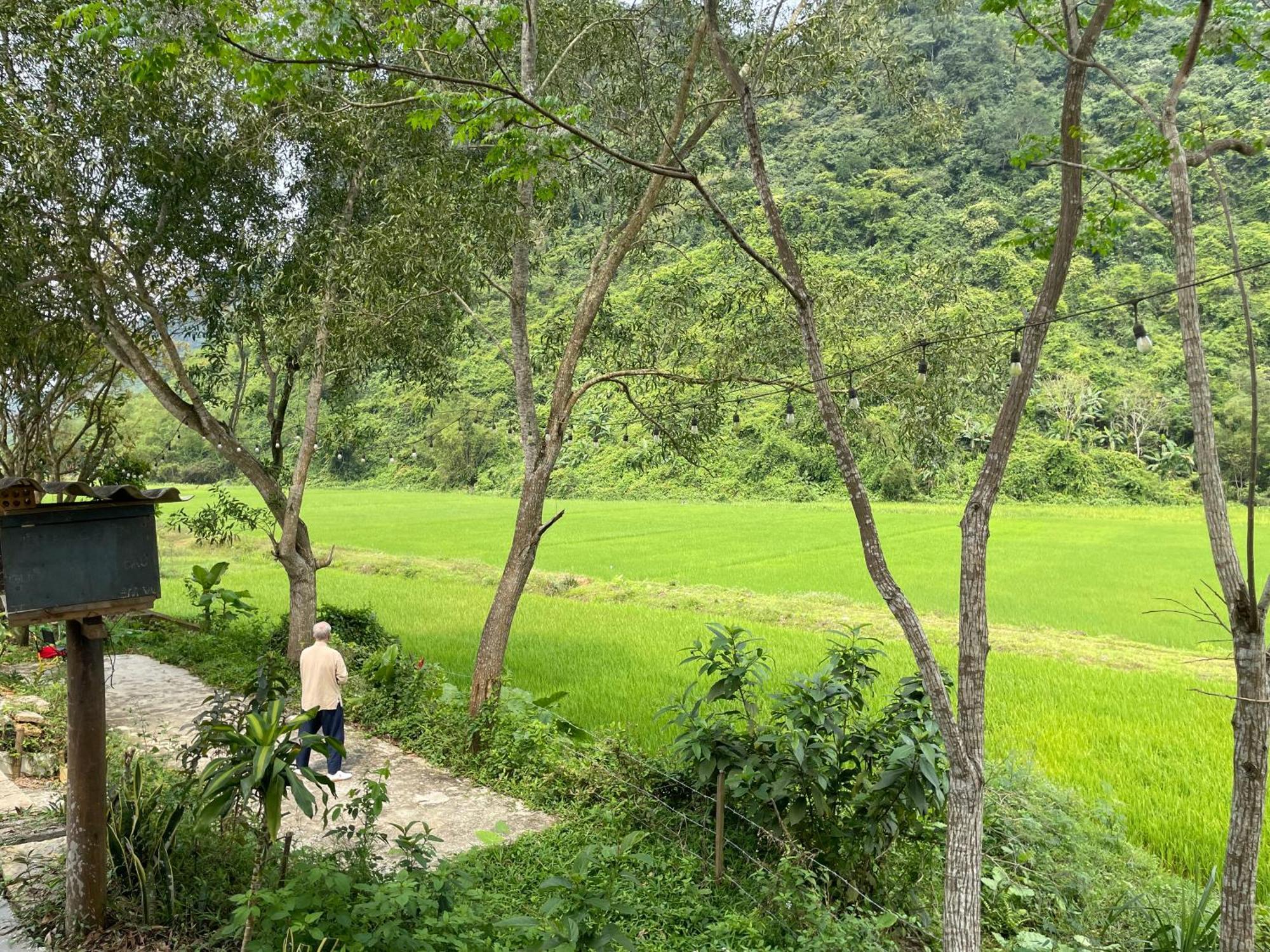 Huy-Homestay Phong Nha Eksteriør billede
