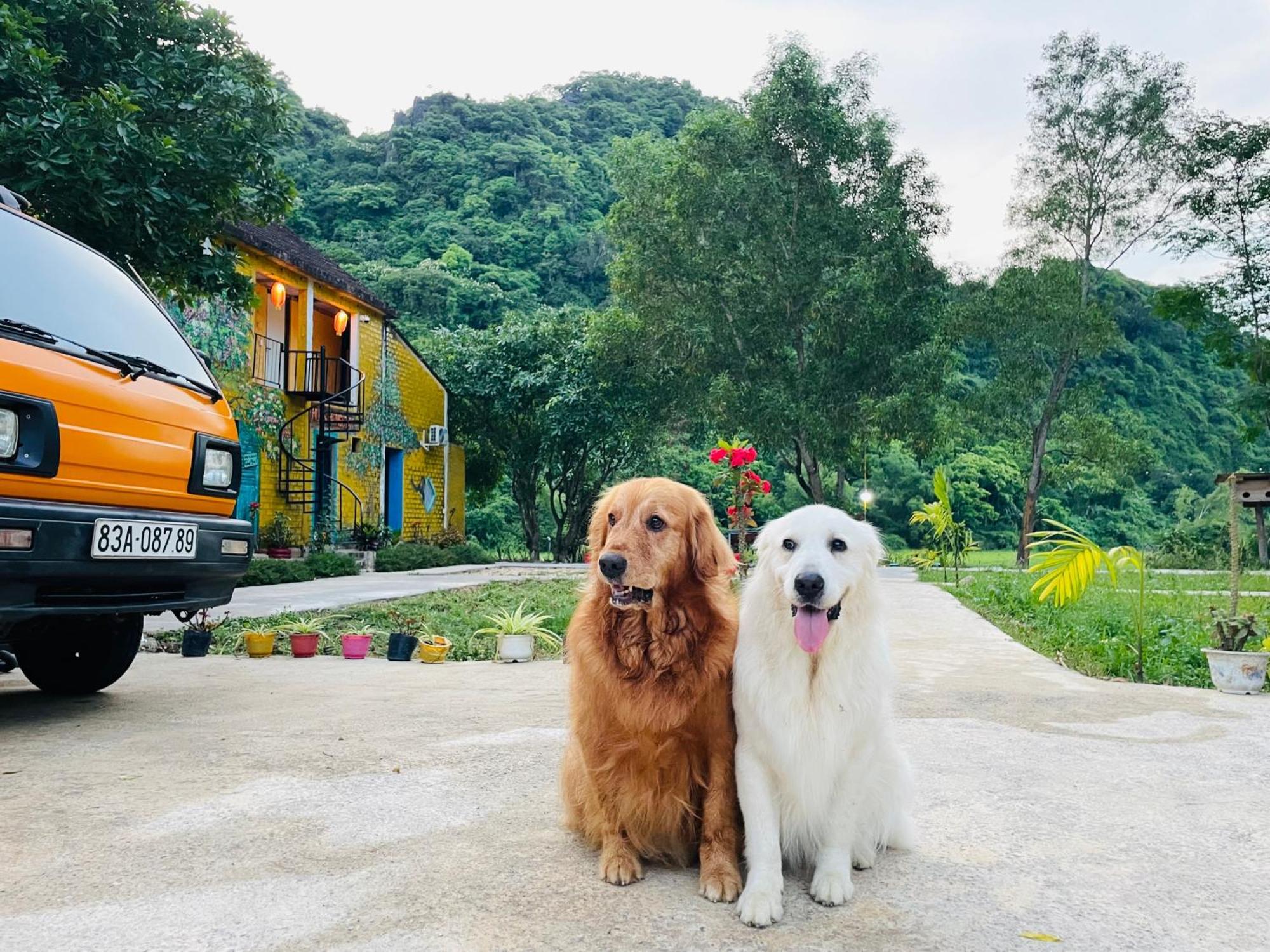 Huy-Homestay Phong Nha Eksteriør billede